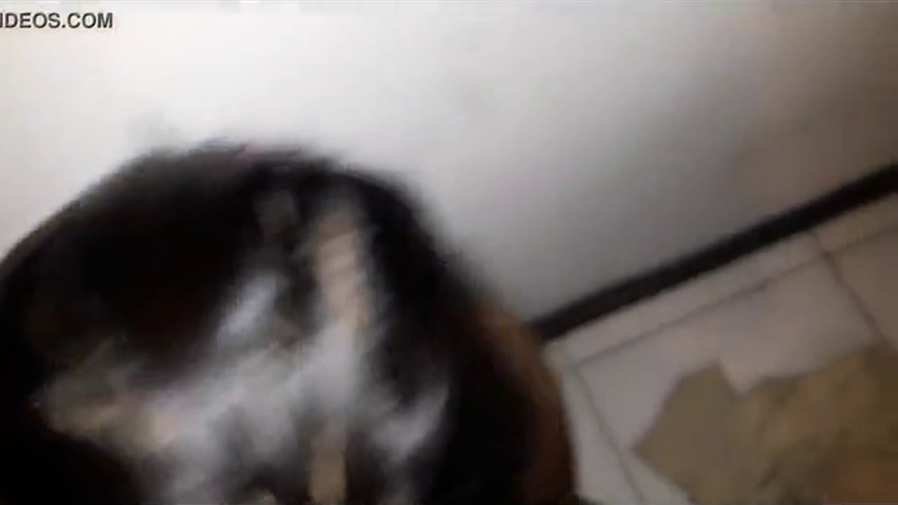 (7) ika fransiska hamil 9 bulan nyepong crot di mulut sampe muntah makanan kangkung dan mie. 10 agustus 2018